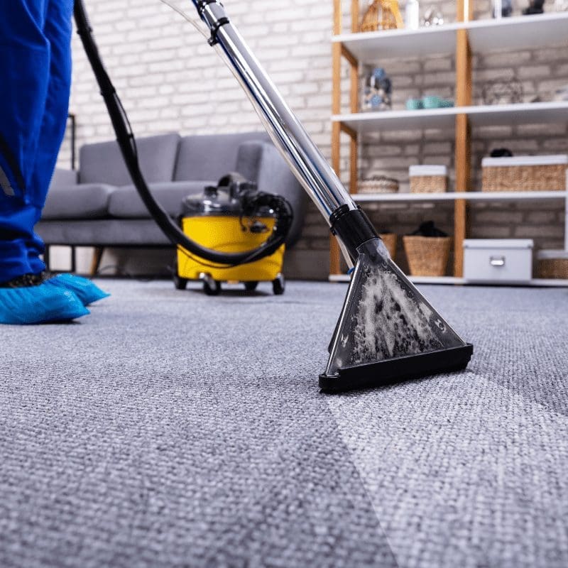 carpet cleaning