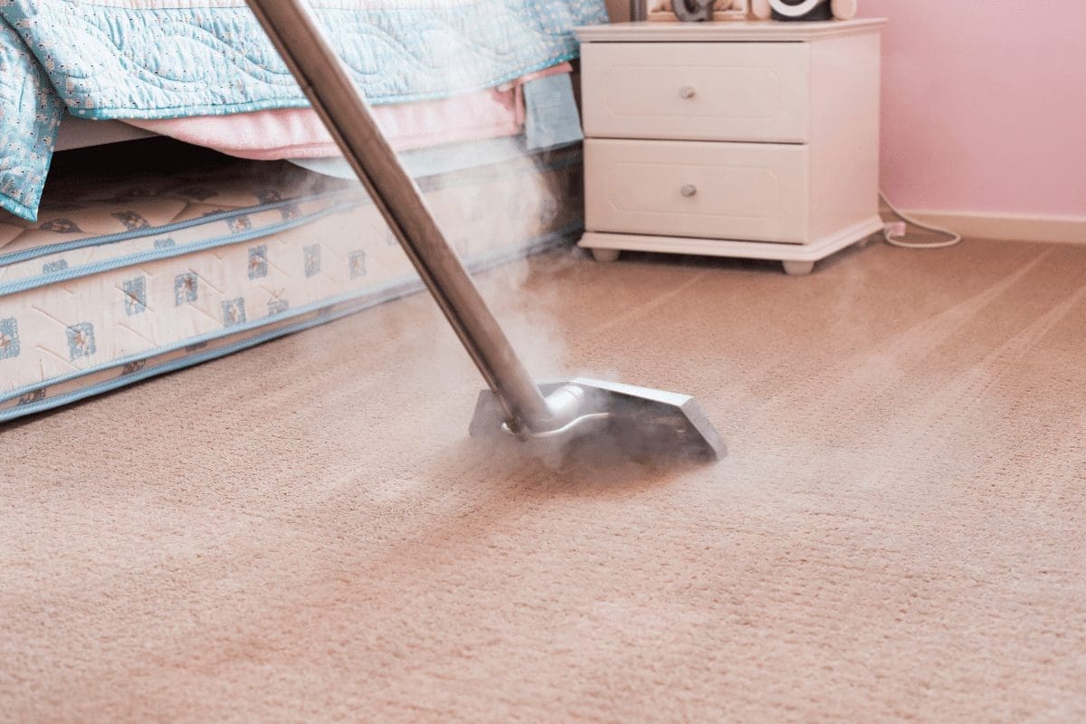 carpet steam cleaning services